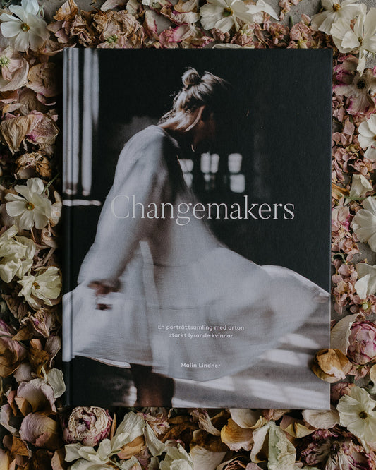 Changemakers E-bok