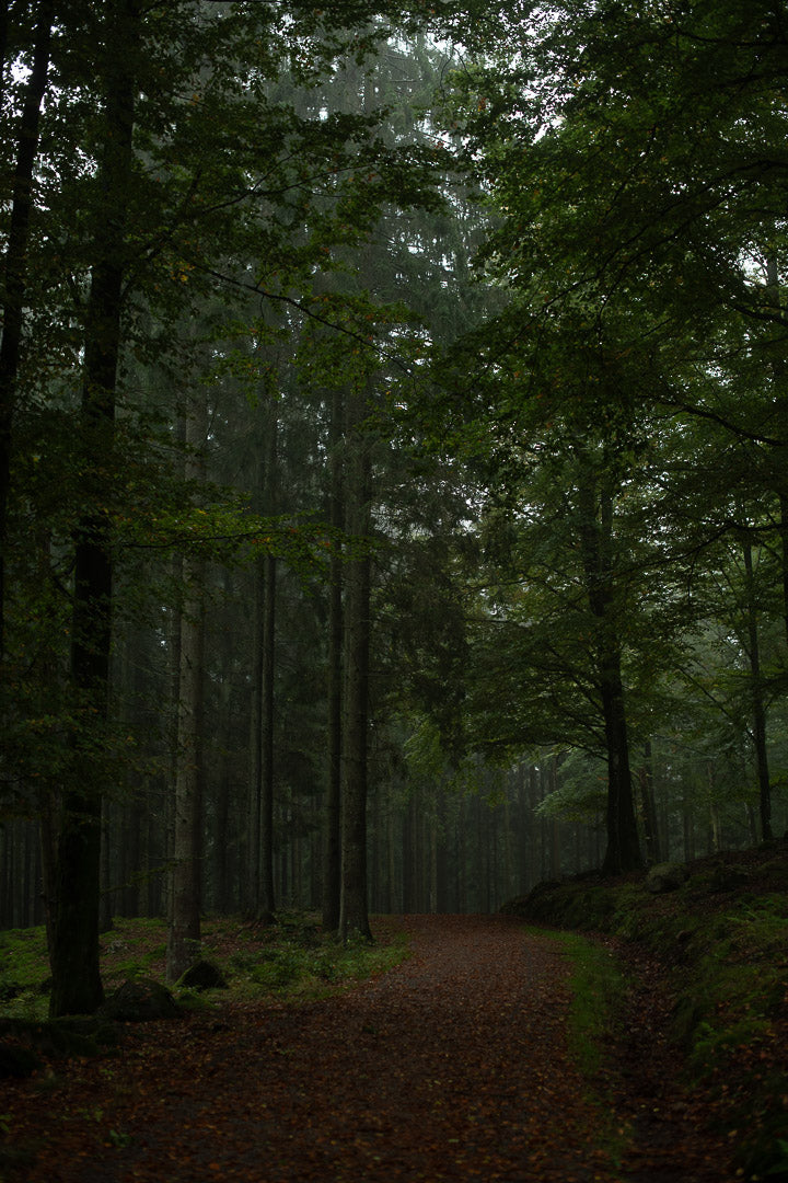 Creators pack - Lightroom presets för alla tillfällen