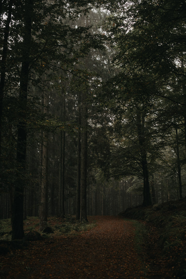Creators pack - Lightroom presets för alla tillfällen