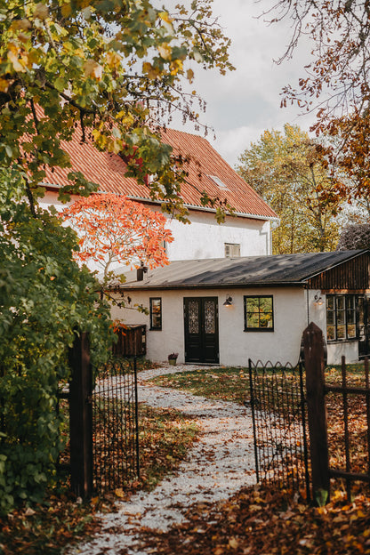 Creators pack - Lightroom presets för alla tillfällen