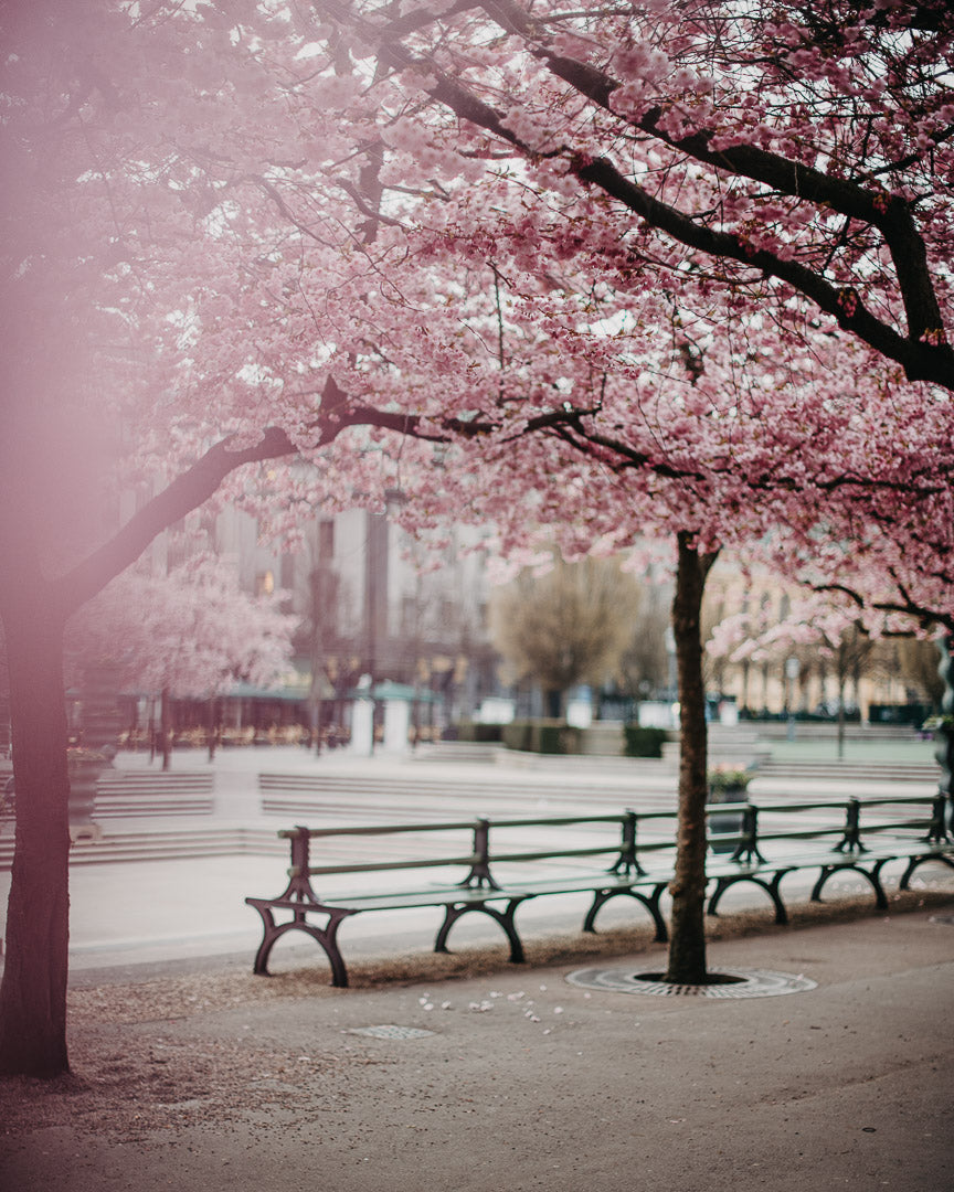 Creators pack - Lightroom presets för alla tillfällen