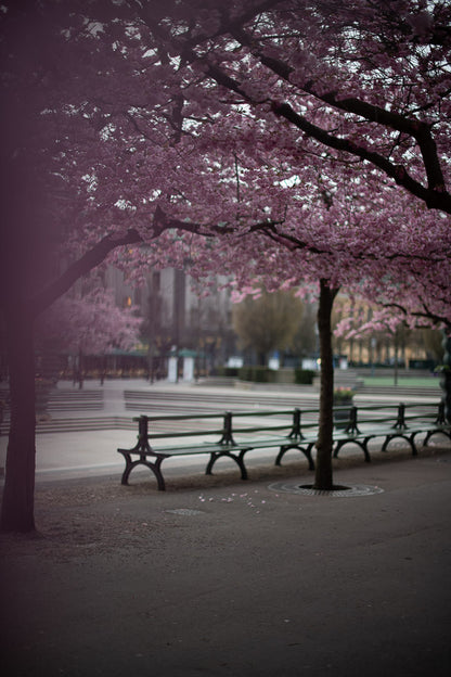 Creators pack - Lightroom presets för alla tillfällen