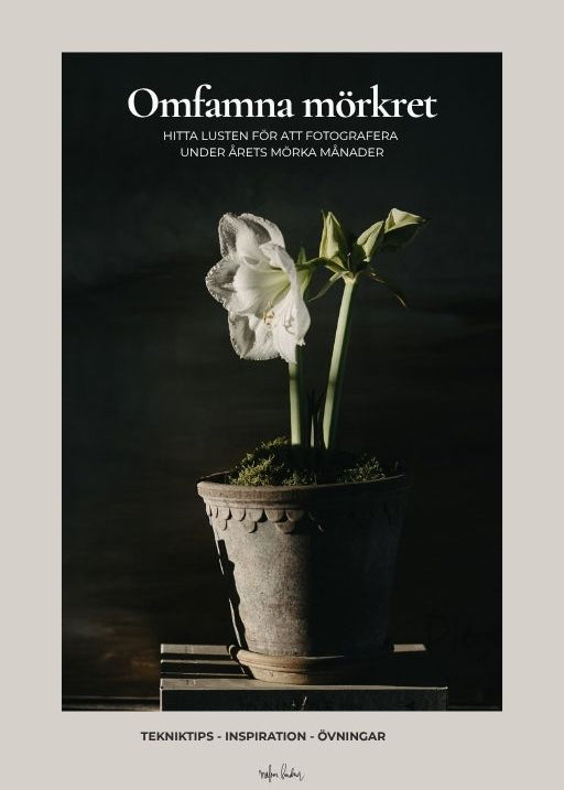 Omfamna mörkret - en guide till att fotografera under den mörka årstiden